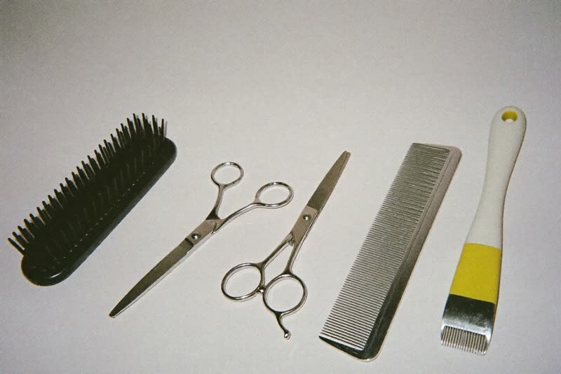 Grooming scissors, a slicker brush, a comb and clippers laid out in a row